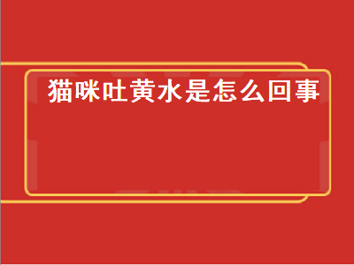 猫咪吐黄水是怎么回事（猫咪吐黄水是怎么回事 黄水带泡沫）