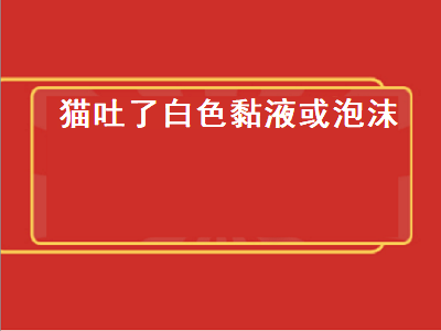 猫吐了白色黏液或泡沫（猫吐了白色黏液或泡沫是怎么回事）