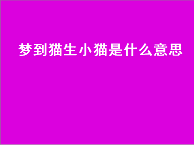 梦到猫生小猫是什么意思（做梦梦到猫生小猫是什么意思）