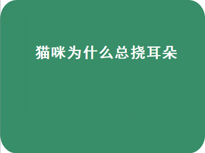 猫咪为什么总挠耳朵（猫咪为什么总挠耳朵前面少毛的位置）