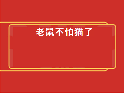 老鼠不怕猫了（老鼠不怕猫了为题写篇作文）