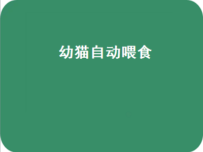 幼猫自动喂食（幼猫自动喂食器）