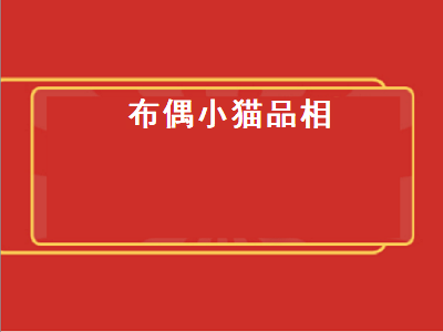 布偶小猫品相（布偶小猫品相怎么看）