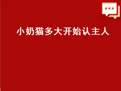 小奶猫多大开始认主人（小奶猫多大开始认主人猫咪恨主人的十种表现）