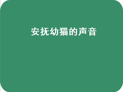 安抚幼猫的声音（安抚幼猫的声音视频）