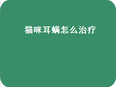 猫咪耳螨怎么治疗（猫咪耳螨怎么治疗多少钱）