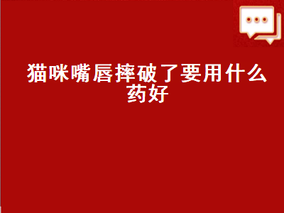 猫咪嘴唇摔破了要用什么药好（猫咪嘴唇摔破了要用什么药好得快）