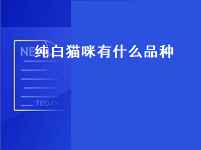 纯白猫咪有什么品种（纯白猫咪有什么品种图片）