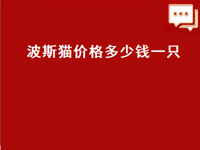 波斯猫价格多少钱一只（加菲猫价格多少钱一只）