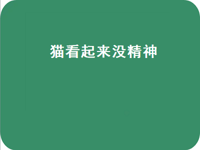 猫看起来没精神（猫看起来没精神是什么情况）