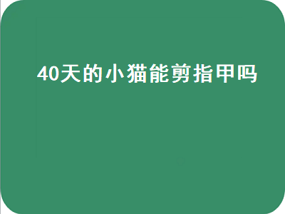 0天的小猫能剪指甲吗（40天的小猫能剪指甲吗视频）"