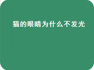 猫的眼睛为什么不发光（猫的眼睛为什么不发光呢）