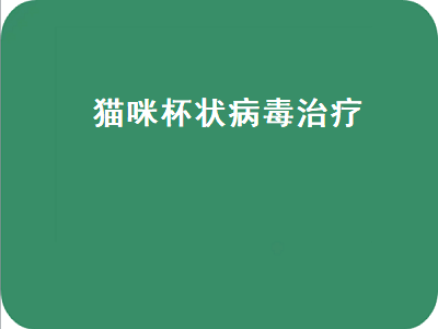 猫咪杯状病毒治疗（猫咪杯状病毒治疗费用）