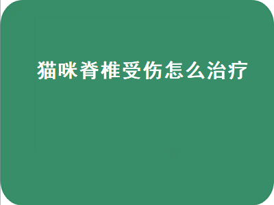 猫咪脊椎受伤怎么治疗（猫咪脊椎受伤怎么治疗好）