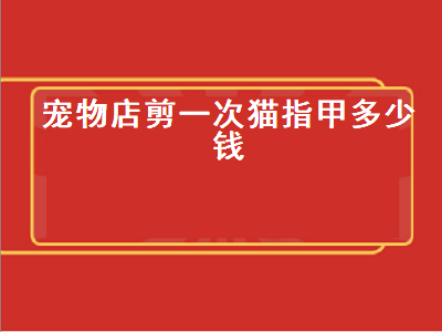 宠物店剪一次猫指甲多少钱（宠物店剪一次猫指甲多少钱啊）