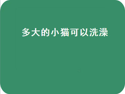 多大的小猫可以洗澡（多大的小猫可以洗澡了）