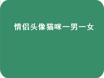 情侣头像猫咪一男一女（情侣头像猫咪一男一女动漫）