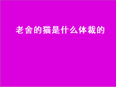 老舍的猫是什么体裁的（老舍的猫是什么体裁的文章）