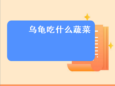 乌龟吃什么蔬菜（乌龟吃什么蔬菜和水果）