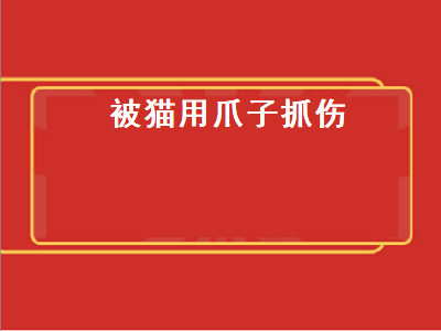 被猫用爪子抓伤（被猫用爪子抓伤死亡率是多少）