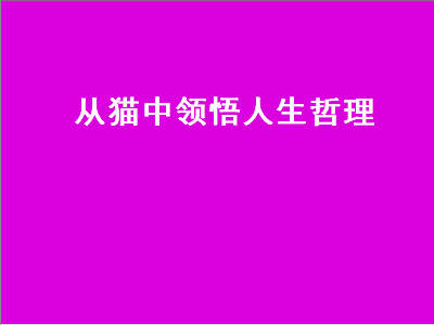 从猫中领悟人生哲理（从猫中领悟人生哲理英文）