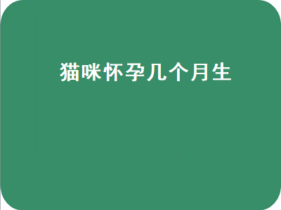 猫咪怀孕几个月生（猫咪怀孕几个月生产）