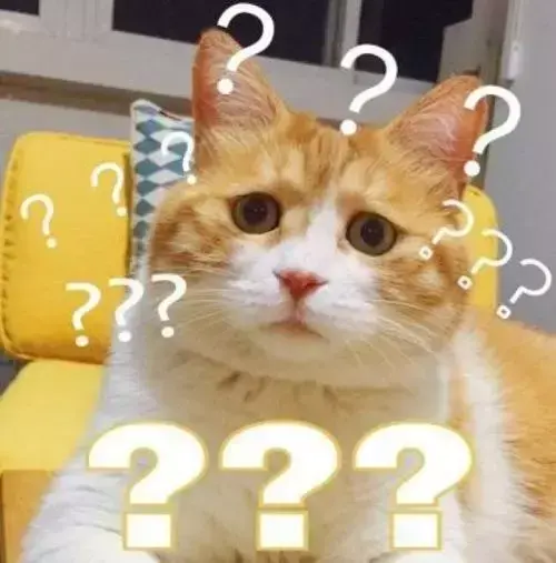 猫咪到底要不要绝育？猫咪绝育的利弊都有什么？公猫绝育到底好不好