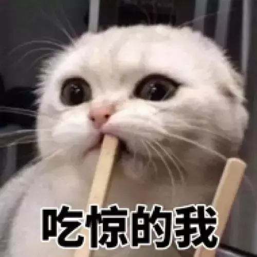 猫咪到底要不要绝育？猫咪绝育的利弊都有什么？公猫绝育到底好不好