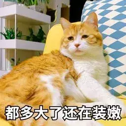 猫咪到底要不要绝育？猫咪绝育的利弊都有什么？公猫绝育到底好不好