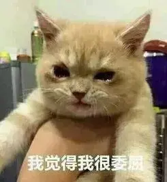 猫咪到底要不要绝育？猫咪绝育的利弊都有什么？公猫绝育到底好不好