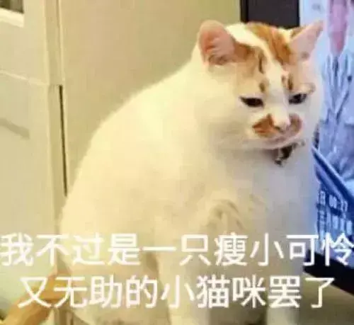 猫咪到底要不要绝育？猫咪绝育的利弊都有什么？公猫绝育到底好不好