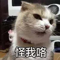 猫咪到底要不要绝育？猫咪绝育的利弊都有什么？公猫绝育到底好不好