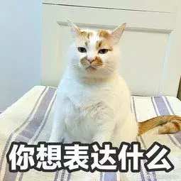 猫咪到底要不要绝育？猫咪绝育的利弊都有什么？公猫绝育到底好不好